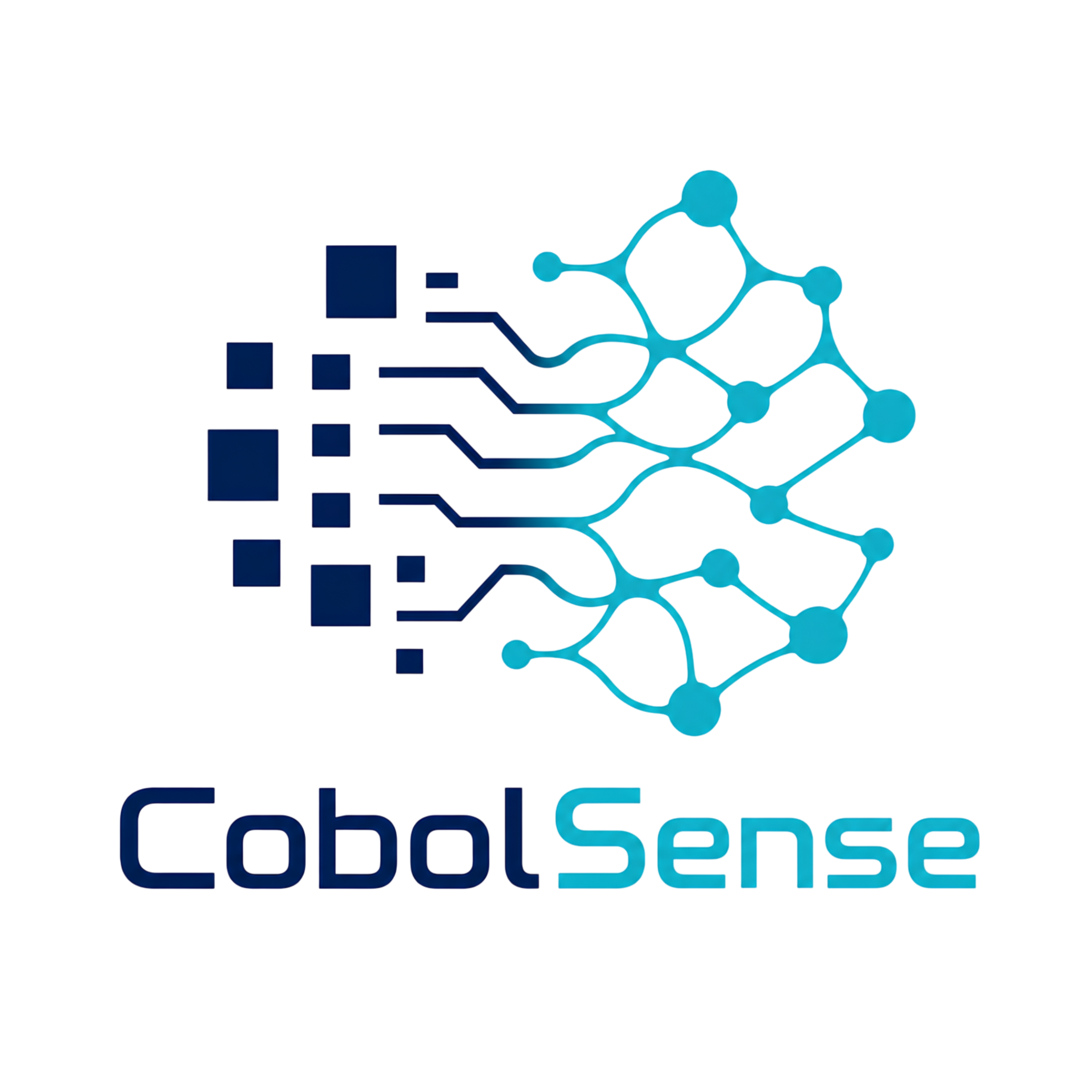 CobolSense